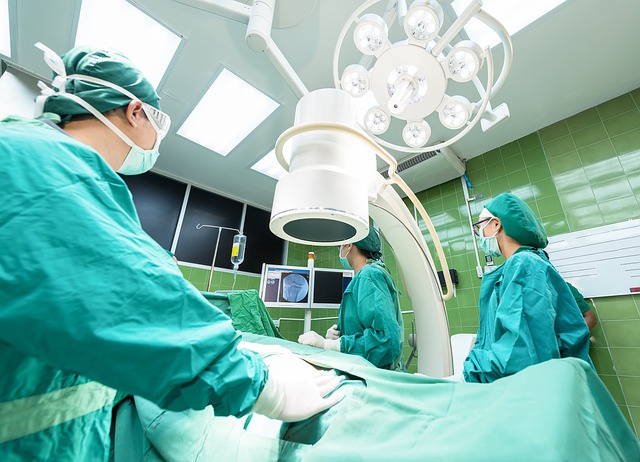 Le médecin de garde et la prise en charge des urgences en soins palliatifs : législation et responsabilités