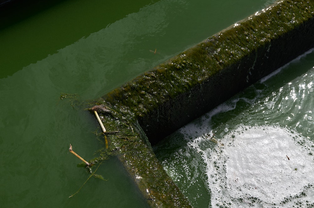 La loi sur l'assainissement des eaux usées domestiques : enjeux, obligations et conseils